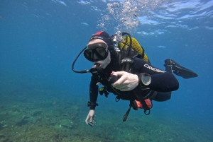 Playa Del Ingles: Discover Scuba Diving - Free Transfers