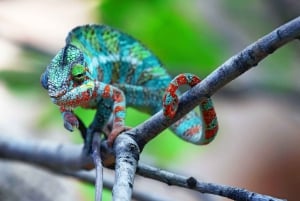 Poema del Mar Skip-the-Line Ticket