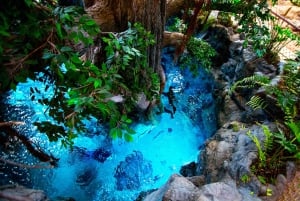 Poema del Mar Skip-the-Line Ticket