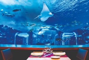 Poema del Mar Skip-the-Line Ticket