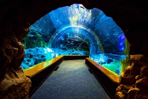 Poema del Mar Skip-the-Line Ticket