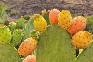 Premium romantic experience for couple in Mogan Gran Canaria