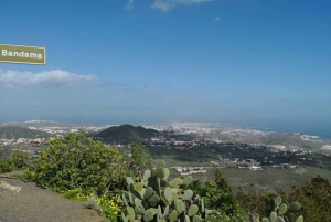 Privado Caldera de Bandama, Jardín Botánico(/Vino*), Casco Antiguo