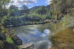 Privado Caldera de Bandama, Jardín Botánico(/Vino*), Casco Antiguo