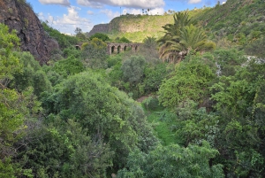 Privado Caldera de Bandama, Jardín Botánico(/Vino*), Casco Antiguo