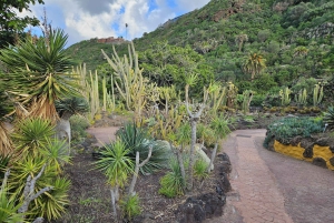 Privado Caldera de Bandama, Jardín Botánico(/Vino*), Casco Antiguo
