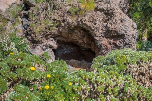 Privado Caldera de Bandama, Jardín Botánico(/Vino*), Casco Antiguo