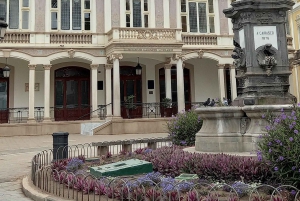 Privado Caldera de Bandama, Jardín Botánico(/Vino*), Casco Antiguo