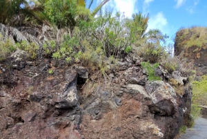 Privado Caldera de Bandama, Jardín Botánico(/Vino*), Casco Antiguo