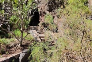 Privado Caldera de Bandama, Jardín Botánico(/Vino*), Casco Antiguo