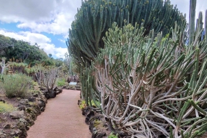 Privado Caldera de Bandama, Jardín Botánico(/Vino*), Casco Antiguo