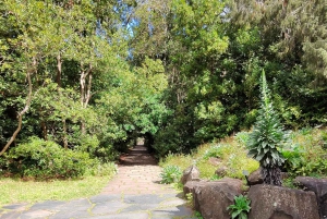Privado Caldera de Bandama, Jardín Botánico(/Vino*), Casco Antiguo