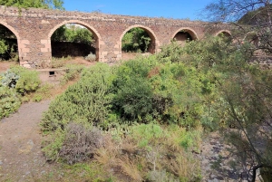 Privado Caldera de Bandama, Jardín Botánico(/Vino*), Casco Antiguo