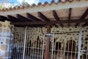 Privado Caldera de Bandama, Jardín Botánico(/Vino*), Casco Antiguo