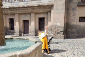 Privado Caldera de Bandama, Jardín Botánico(/Vino*), Casco Antiguo