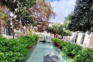 Privado Caldera de Bandama, Jardín Botánico(/Vino*), Casco Antiguo