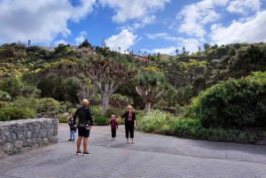 Privado Caldera de Bandama, Jardín Botánico(/Vino*), Casco Antiguo