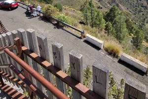 Privado Caldera de Bandama, Jardín Botánico(/Vino*), Casco Antiguo