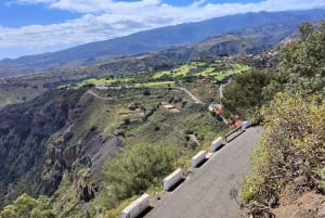 Privado Caldera de Bandama, Jardín Botánico(/Vino*), Casco Antiguo