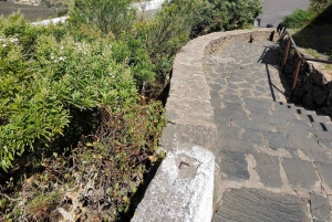 Privado Caldera de Bandama, Jardín Botánico(/Vino*), Casco Antiguo