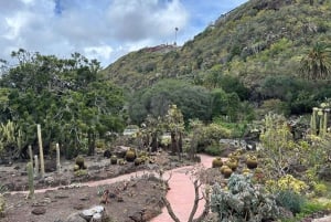 Privado Caldera de Bandama, Jardín Botánico(/Vino*), Casco Antiguo