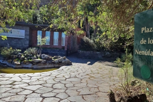 Privado Caldera de Bandama, Jardín Botánico(/Vino*), Casco Antiguo