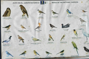 Private Bandama Caldera, Botanic Garden(/Wine*), Old Town