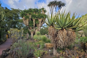 Private Bandama Caldera, Botanic Garden(/Wine*), Old Town