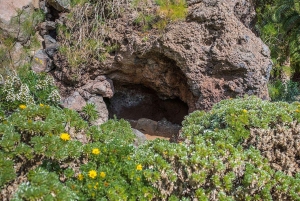 Private Bandama Caldera, Botanic Garden(/Wine*), Old Town