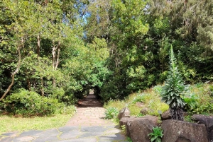 Private Bandama Caldera, Botanic Garden(/Wine*), Old Town