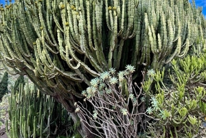 Private Bandama Caldera, Botanic Garden(/Wine*), Old Town