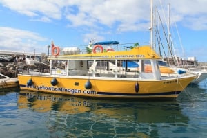 Puerto de Mogan: Boat and Snorkeling Trip