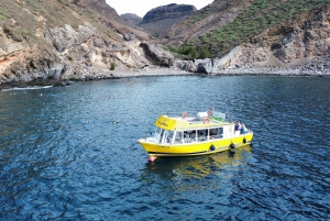 Puerto de Mogan: Boat and Snorkeling Trip