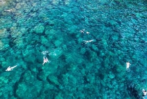 Puerto de Mogan: Boat and Snorkeling Trip