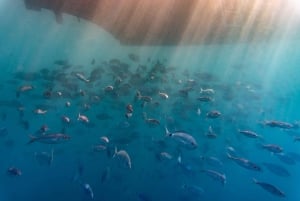 Puerto de Mogan: Boat and Snorkeling Trip