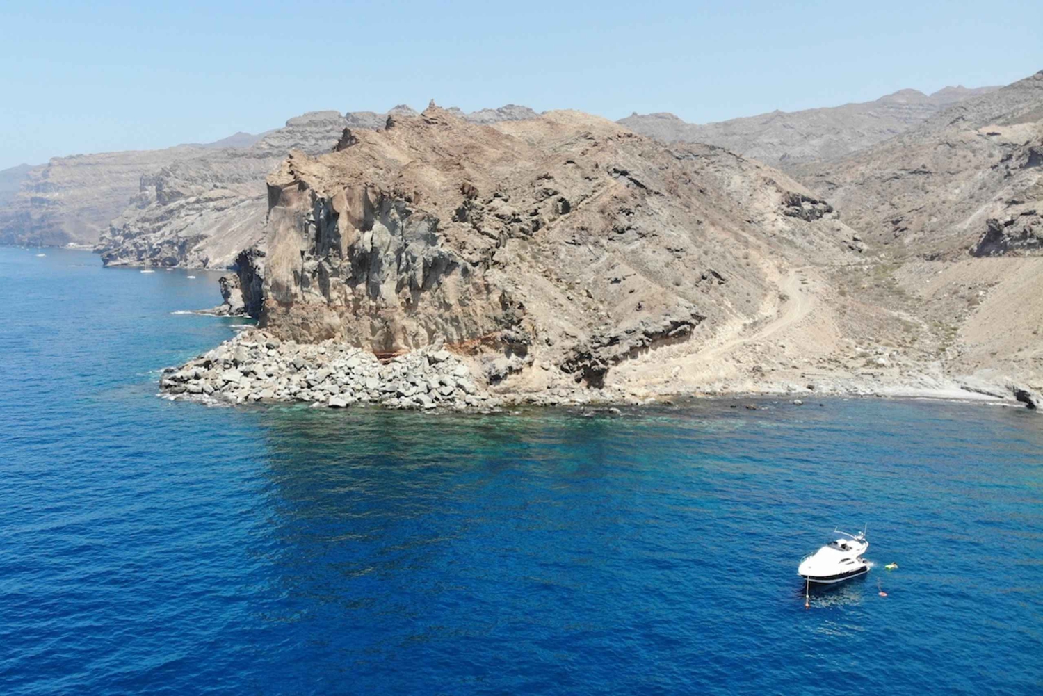Mogán: Excursión en barco para avistar delfines con parada para nadar