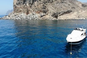 Mogán: Excursión en barco para avistar delfines con parada para nadar