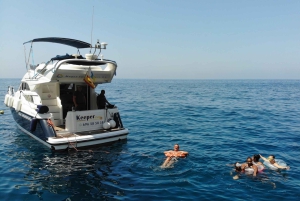 Mogán: Excursión en barco para avistar delfines con parada para nadar