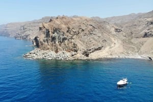 Mogán: Excursión en barco para avistar delfines con parada para nadar