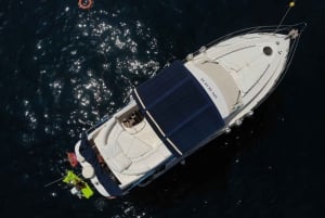 Mogán: Excursión en barco para avistar delfines con parada para nadar