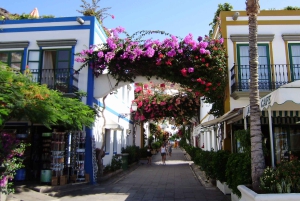 Puerto de Mogán: la experiencia del mercado de los viernes