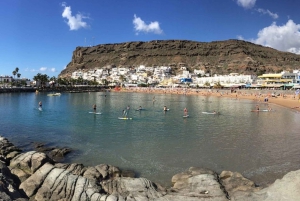 Puerto de Mogán: la experiencia del mercado de los viernes