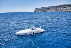 Puerto de Mogán: PRIVATE yacht for up to 9 people