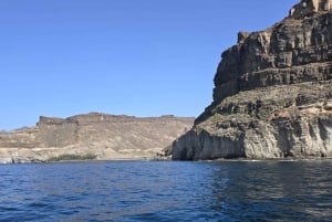 Puerto de Mogán: Private Yacht up to 10 people 1 Hour