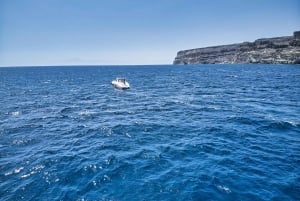 Puerto de Mogán: Private Yacht up to 10 people 1 Hour