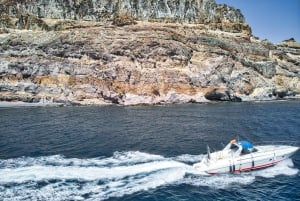 Puerto de Mogán: Private Yacht up to 10 people 1 Hour
