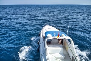 Puerto de Mogán: Private Yacht up to 10 people 1 Hour
