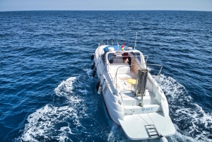 Puerto de Mogán: Private Yacht up to 10 people 1 Hour