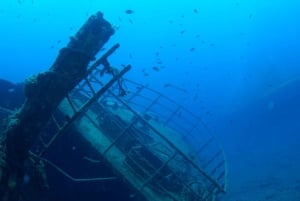 Puerto de Mogán: Submarine Tour