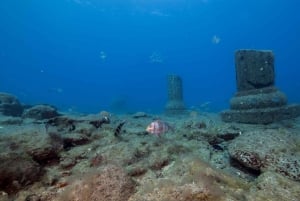 Puerto de Mogán: Submarine Tour